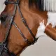 Dyon Hackamore trense US Collection