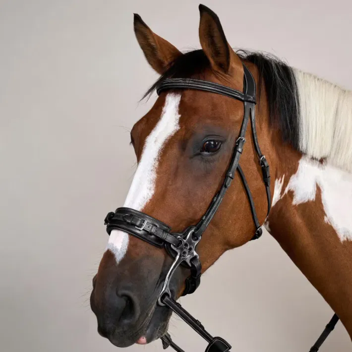 Dyon Hackamore trense US Collection
