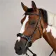 Dyon Hackamore trense US Collection