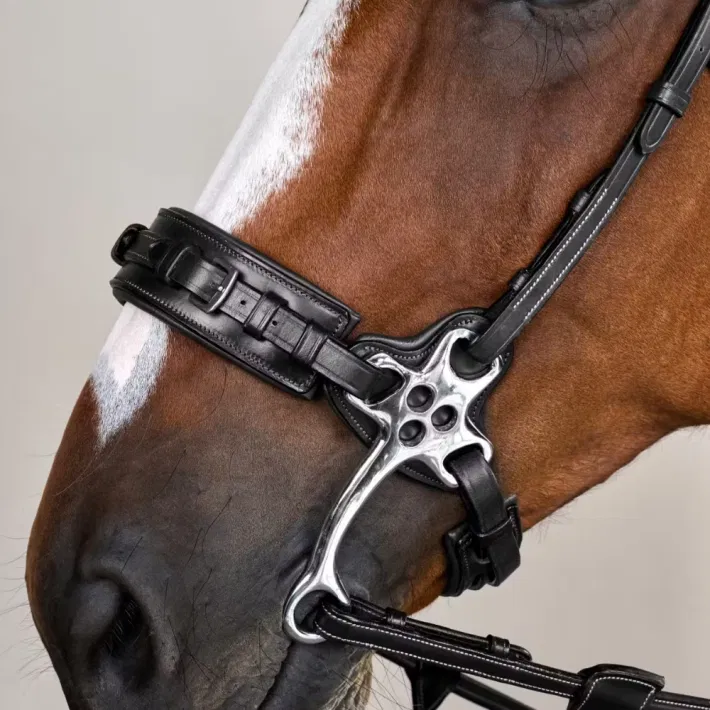 Dyon Hackamore trense US Collection