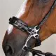 Dyon Hackamore trense US Collection
