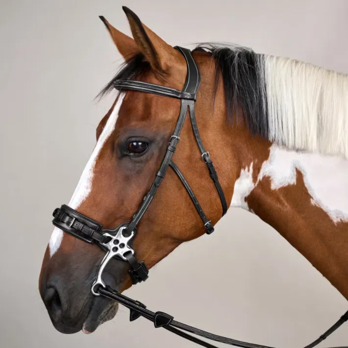 Dyon Hackamore trense US Collection