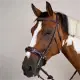 Dyon Hackamore trense US Collection