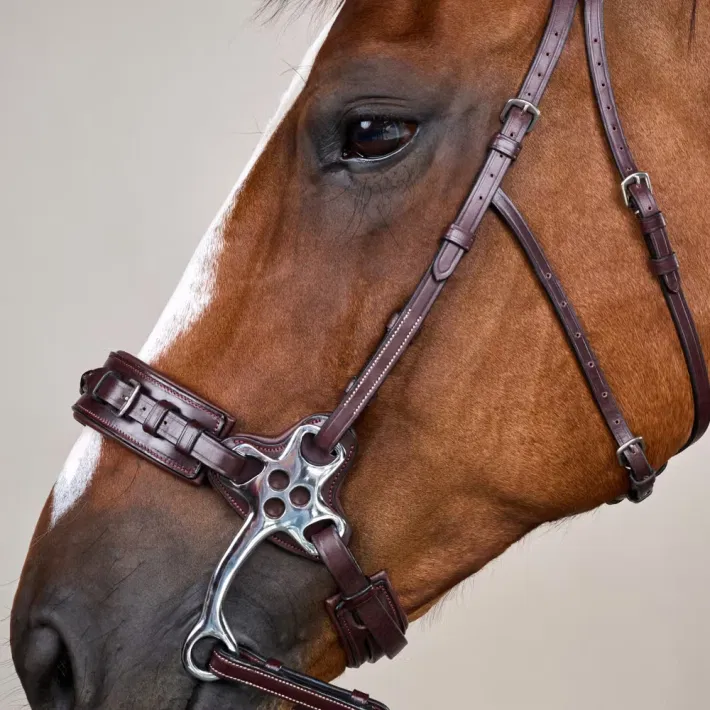 Dyon Hackamore trense US Collection
