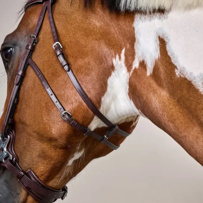 Dyon Hackamore trense US Collection