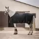 Kingsland Classic Wool Evolution transport/staldeken