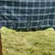 Hunter Check/Green Navy