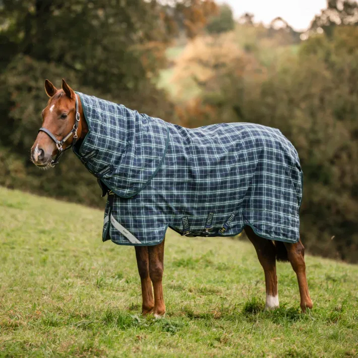 Hunter Check/Green Navy