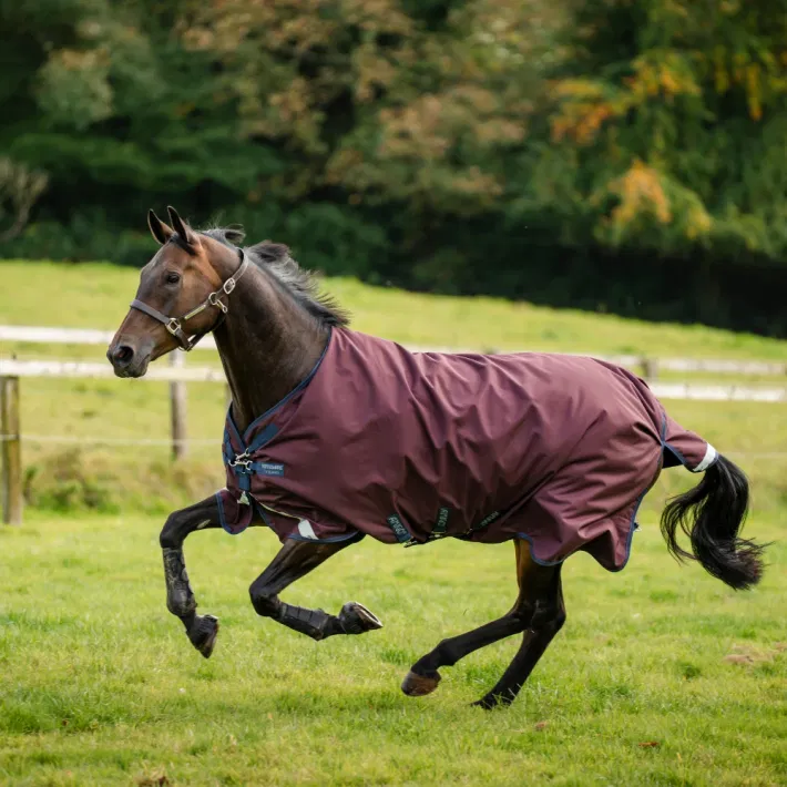Horseware Amigo 1200D Turnout 0 gram