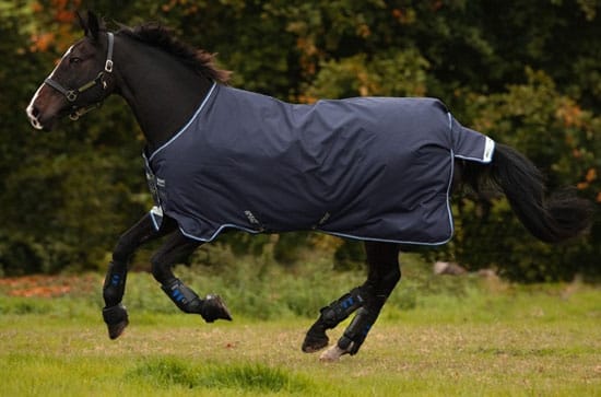 Navy/ Black & strong blue/black