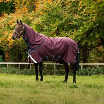 Horseware Amigo 1200D Plus Turnout 250 gram