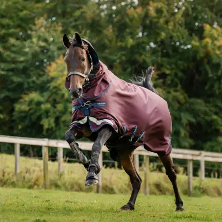 Horseware Amigo 1200D Plus Turnout 50 gram