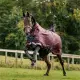 Horseware Amigo 1200D Plus Turnout 50 gram