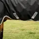 Black/Silver