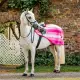 Witney Pink