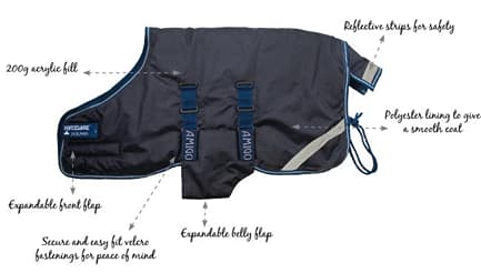 Navy/electric blue