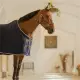 Kentucky Fleece show rug Vegan Wool