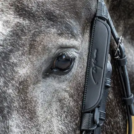Dyon Blinkers Working by Dy\'on