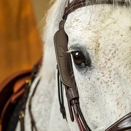 Dyon Blinkers Working by Dy\'on