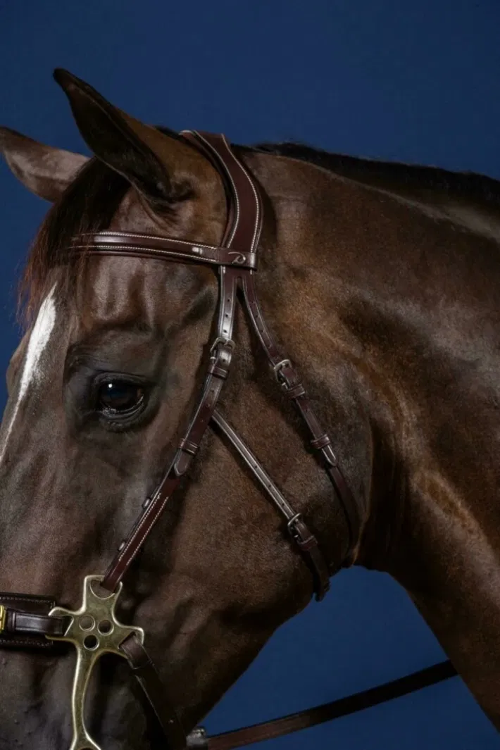 Dyon Hackamore hoofdstel US Collection