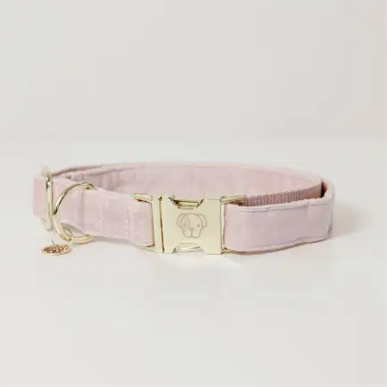 Kentucky hundehalsbånd Velvet