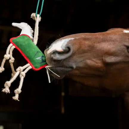 Horseware Stal Speelgoed