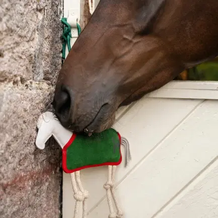 Horseware Stal Speelgoed
