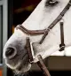 Horseware Rambo Micklem 2 Deluxe Competition