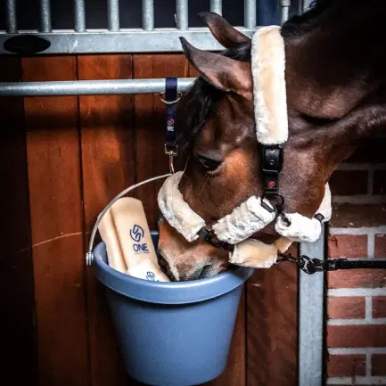 ONE Equestrian Emmer 18 liter VE5