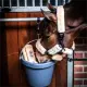 ONE Equestrian Emmer 18 liter VE5