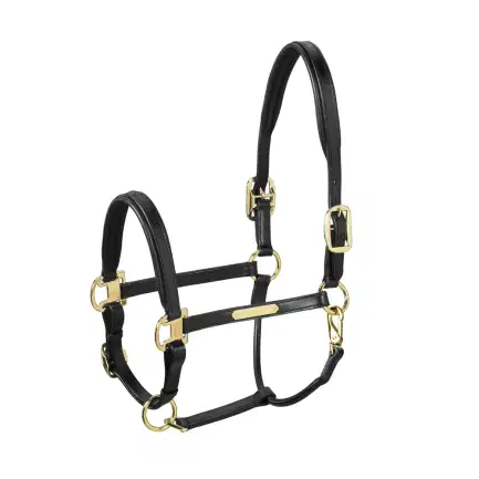 Eskadron leren halster Elegance