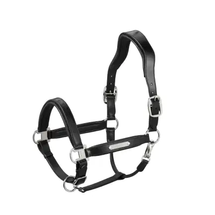 Eskadron Lederen Halster Stallion