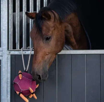 QHP Horse Toy Ball