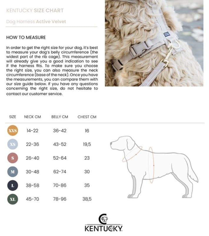 Kentucky hondentuig Active Reflective