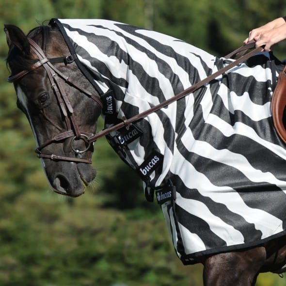 Bucas Buzz-Off Riding Zebra