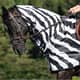 Bucas Buzz-Off Riding Zebra