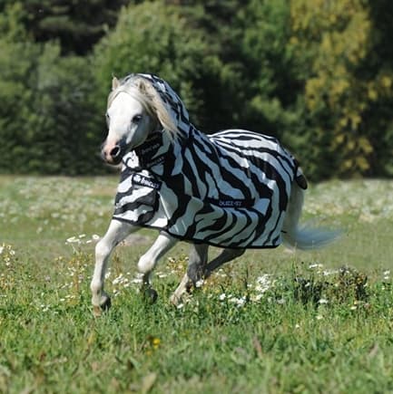 Bucas Buzz-Off Full Neck Zebra