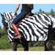 Bucas Buzz-Off Riding Zebra