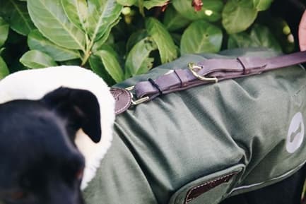 Kentucky hondenjas waterdicht Olive green