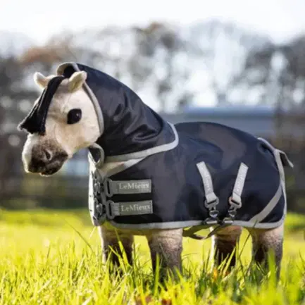 LeMieux Toy Pony Deken Storm-tec