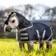LeMieux Toy Pony Deken Storm-tec
