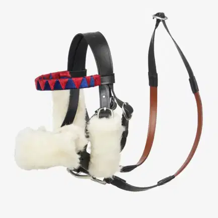 LeMieux Racing Hoofdstel