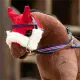 LeMieux Racing Hoofdstel