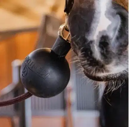 Kentucky rubberen bal