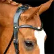 Montar Monarch Jumping hoofdstel zwart