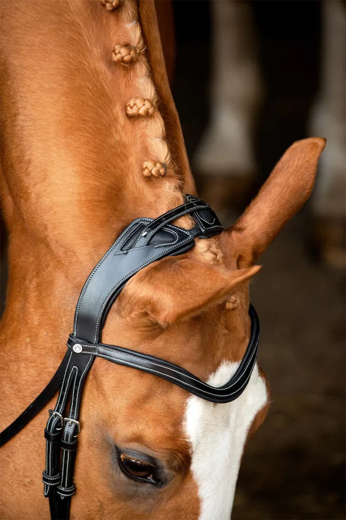 Montar Monarch Jumping hoofdstel zwart