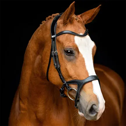 Montar Monarch Jumping hoofdstel zwart