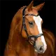 Montar Monarch Jumping hoofdstel zwart