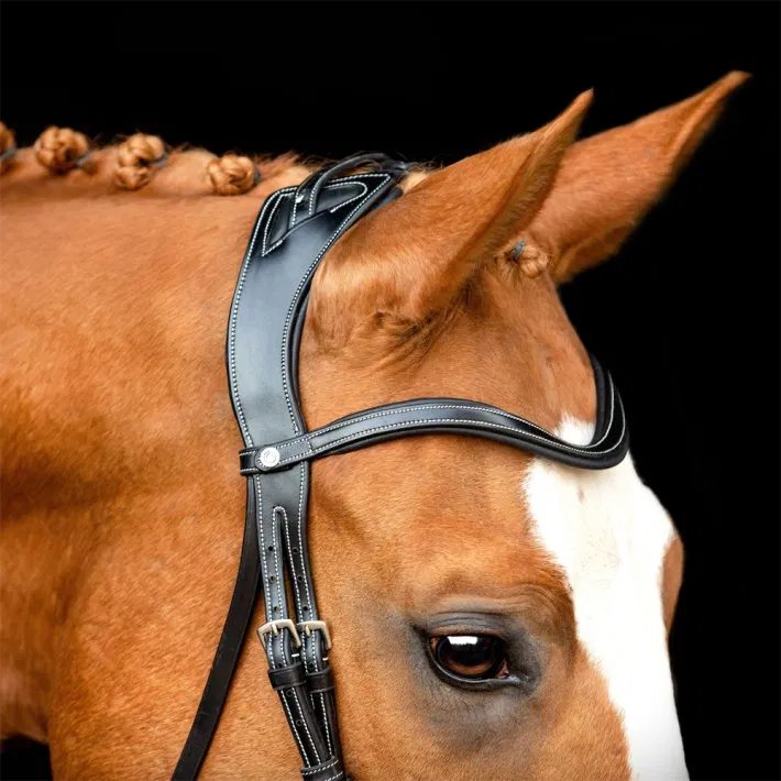 Montar Monarch Jumping hoofdstel zwart