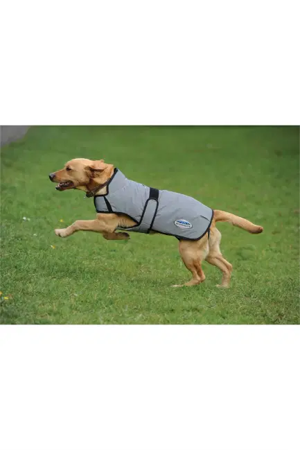 Weatherbeeta ComFiTec Reflective hondenjas Medium
